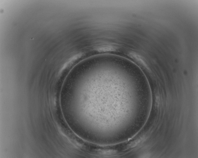 X0000062930539200601202029