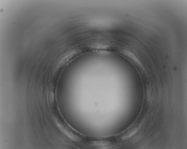 X0000062930541200601202029