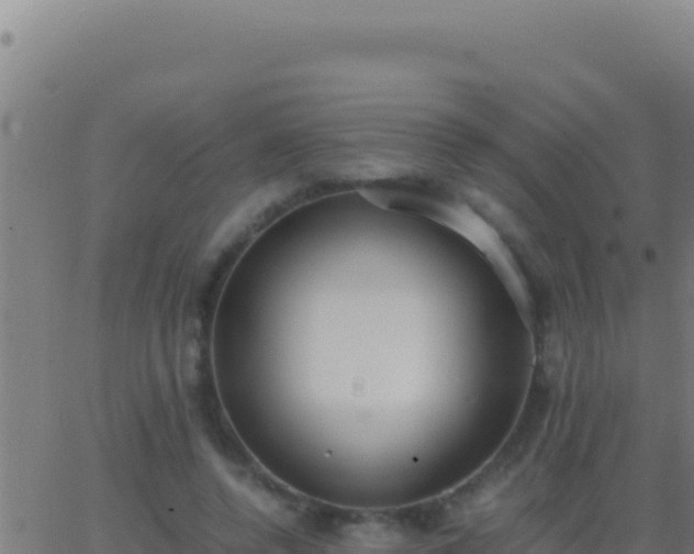 X0000062930544200601202029