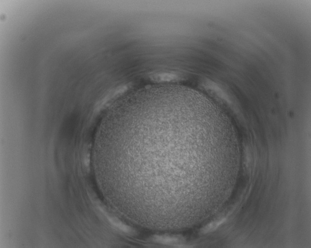 X0000062930545200601202029