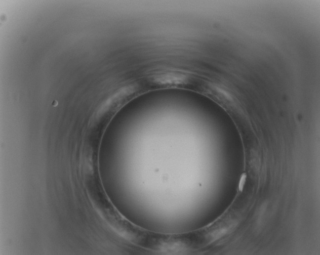 X0000062930547200601202029