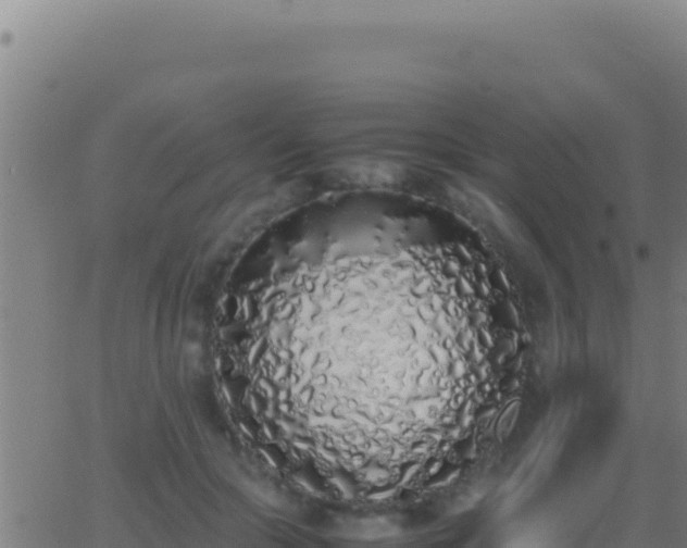 X0000062930553200601202029