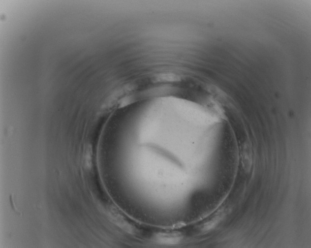 X0000062930556200601202029