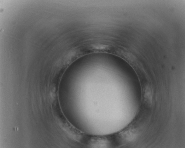 X0000062930559200601202029