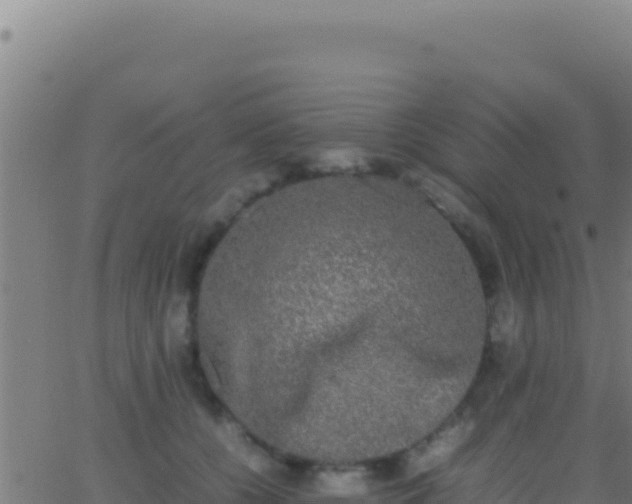 X0000062930560200601202029