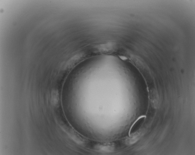 X0000062930563200601202029