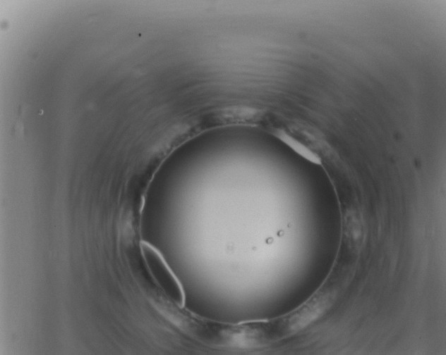 X0000062930564200601202030