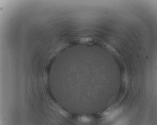 X0000062930565200601202030