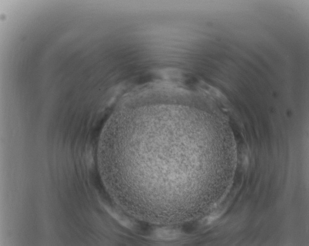 X0000062930568200601202030