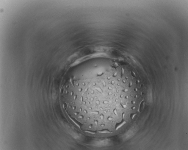 X0000062930569200601202030