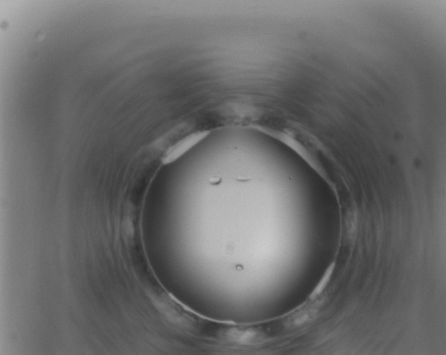 X0000062930570200601202030