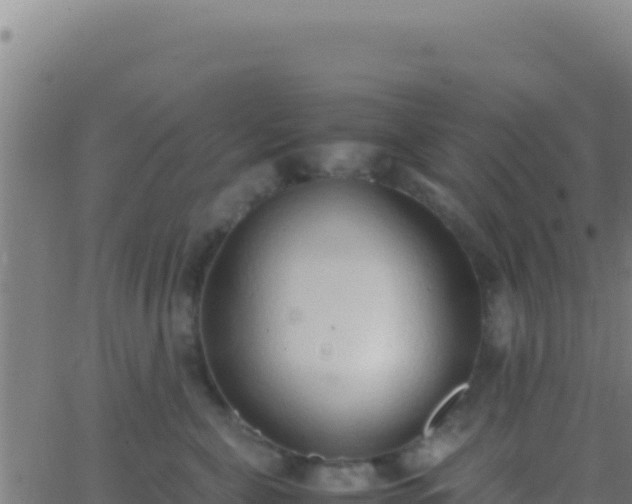 X0000062930571200601202030