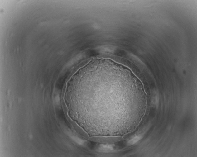 X0000062930573200601202030