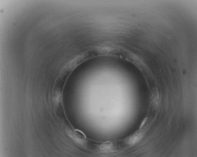 X0000062930574200601202030