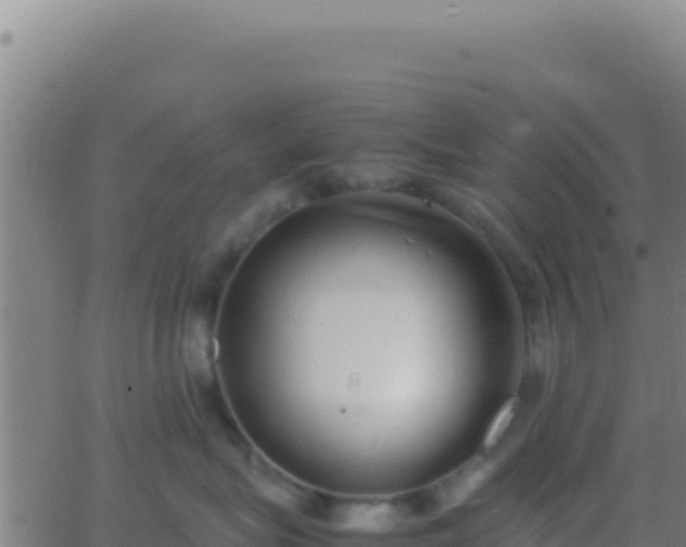 X0000062930575200601202030