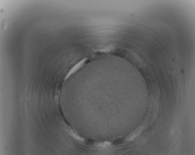 X0000062930576200601202030