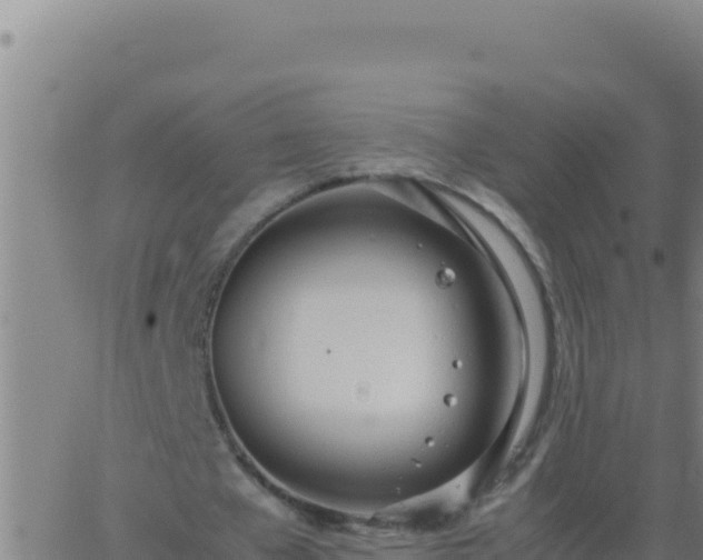 X0000062930577200601202029