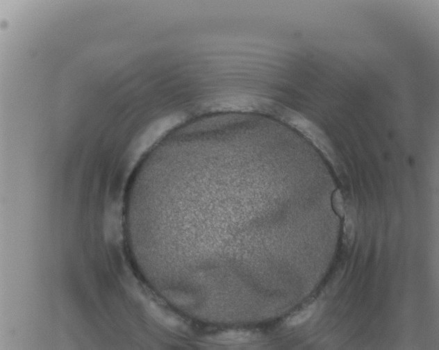 X0000062930578200601202029