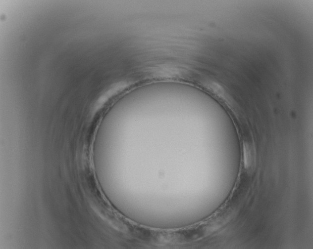 X0000062930579200601202029