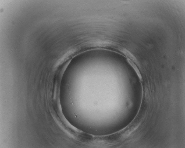 X0000062930581200601202029