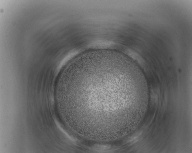 X0000062930582200601202029