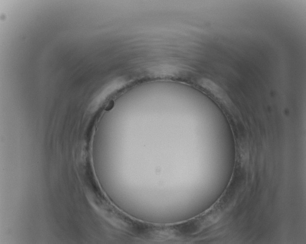 X0000062930583200601202029