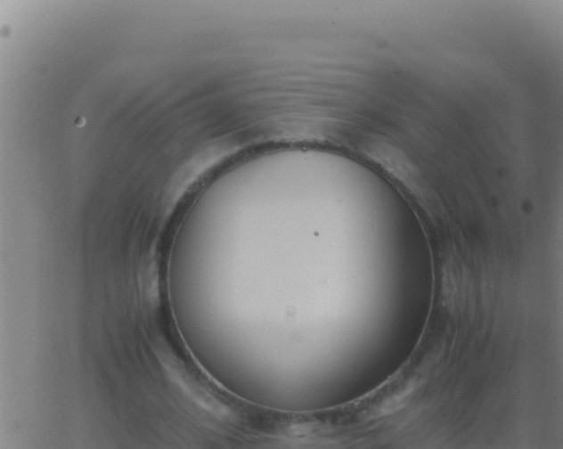 X0000062930584200601202029