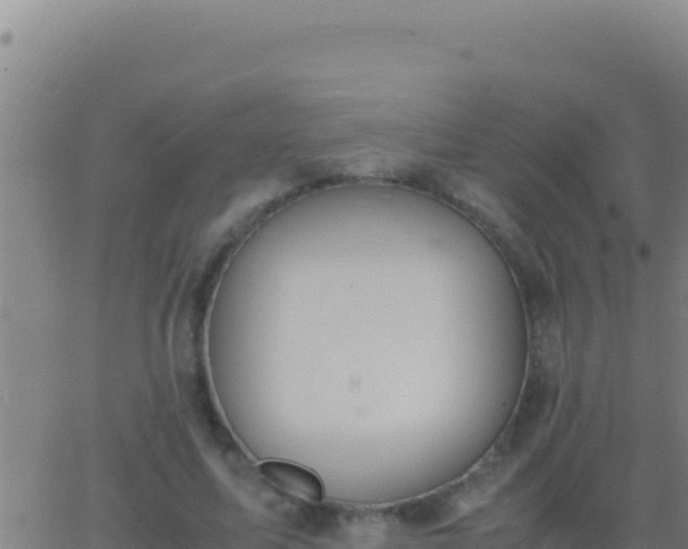 X0000062930587200601202029