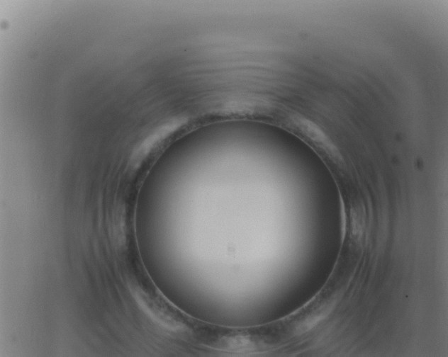 X0000062930588200601202029