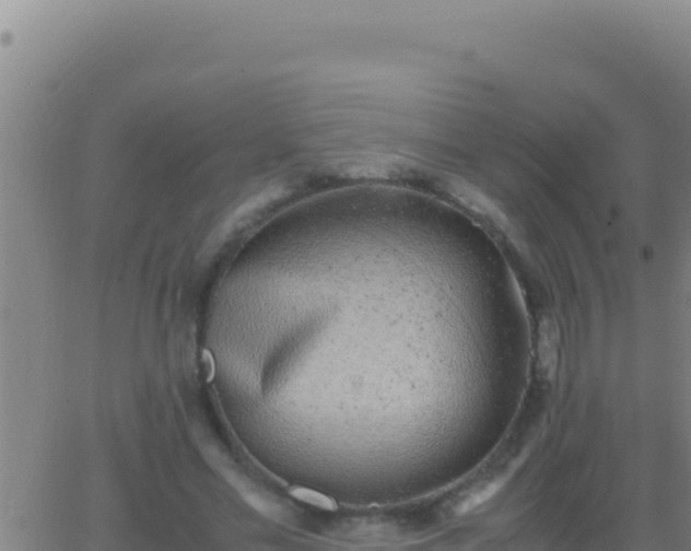 X0000062930589200601202029