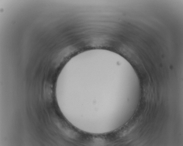 X0000062930592200601202029