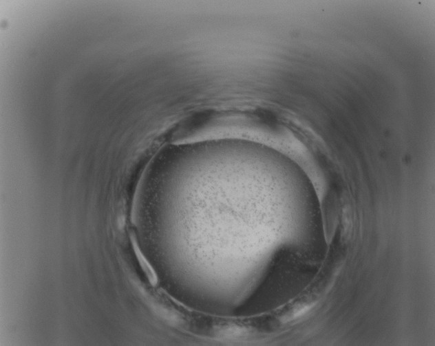 X0000062930593200601202029