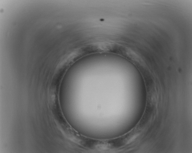 X0000062930595200601202029