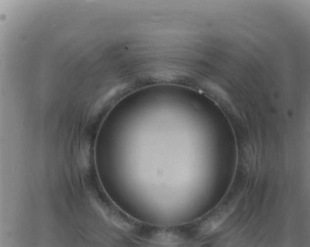 X0000062930596200601202029