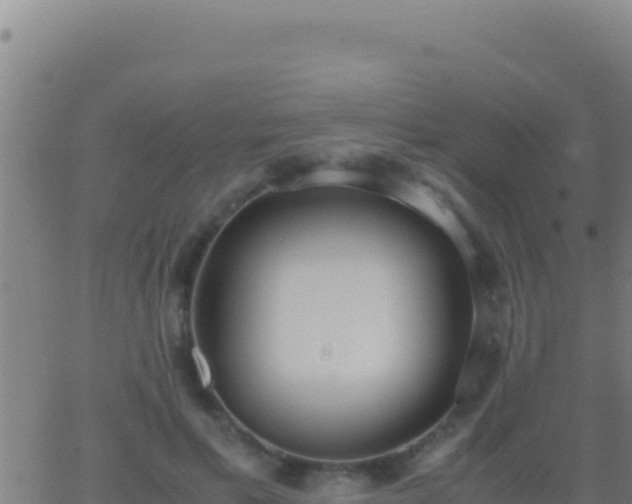 X0000062930597200601202029