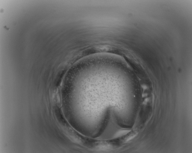 X0000062930601200601202029