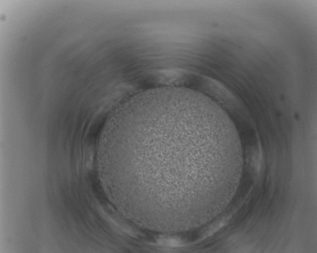 X0000062930602200601202029