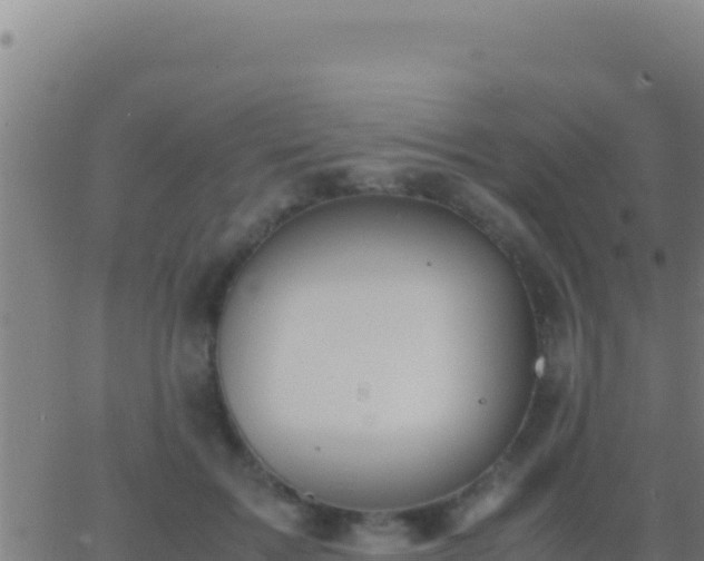 X0000062930603200601202028