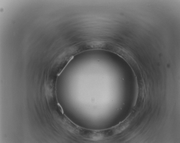 X0000062930604200601202028