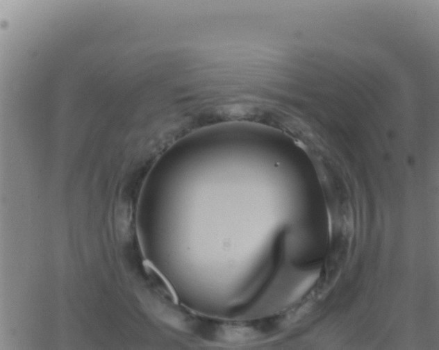 X0000062930605200601202028