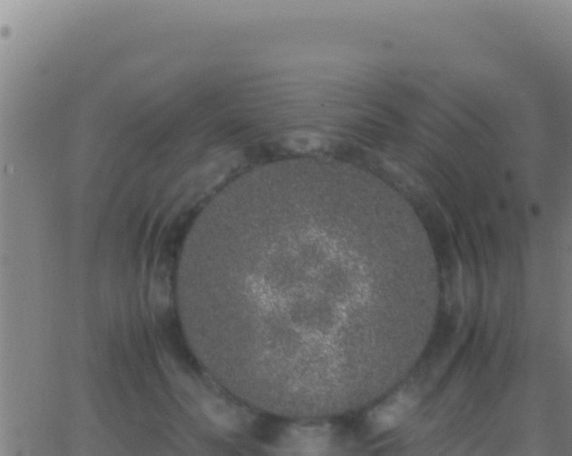 X0000062930606200601202028