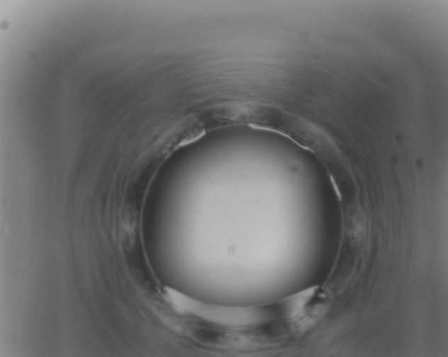 X0000062930607200601202028