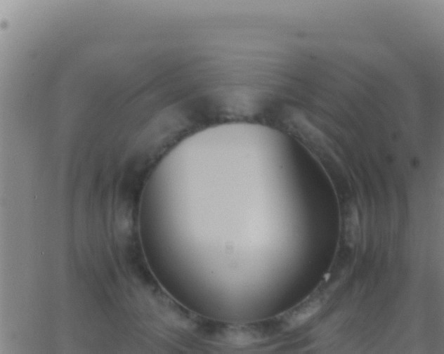 X0000062930608200601202028