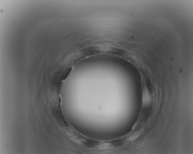 X0000062930609200601202028