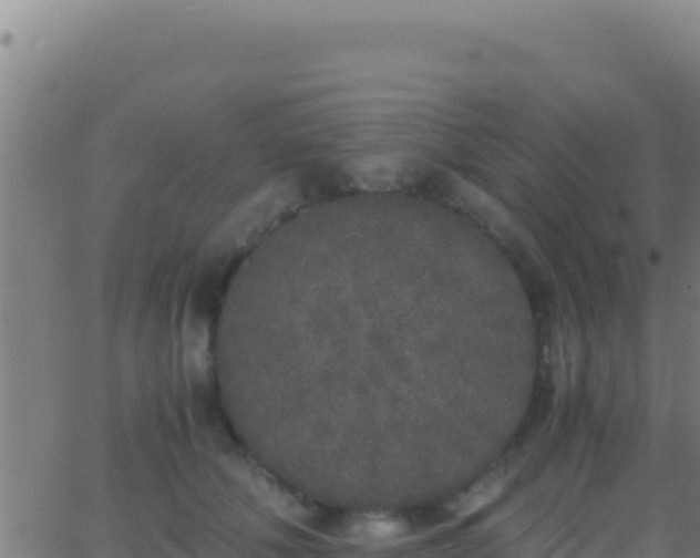 X0000062930610200601202028