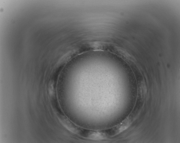 X0000062930611200601202028