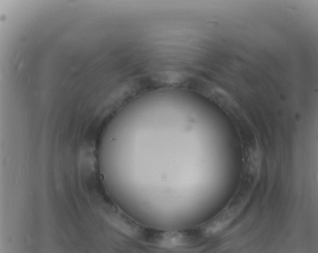 X0000062930612200601202028