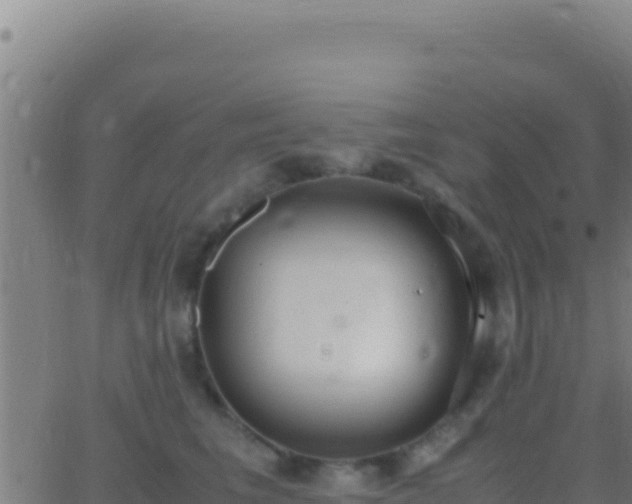 X0000062930613200601202028