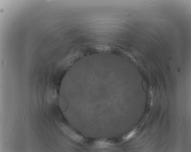 X0000062930614200601202028