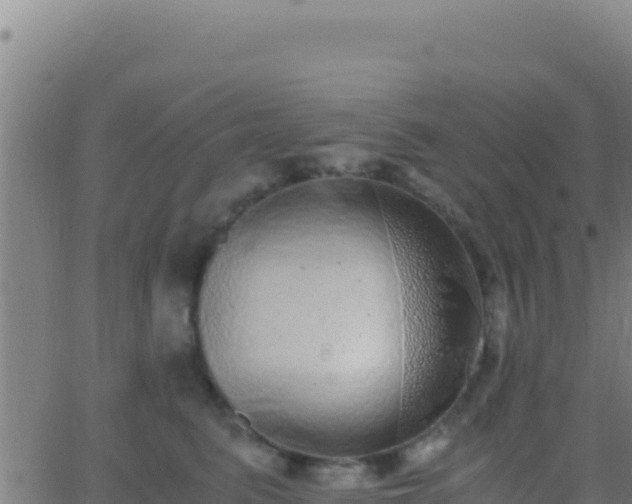 X0000062930615200601202028